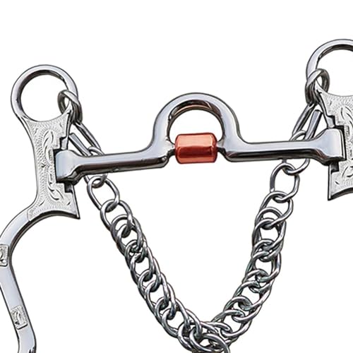 LIZHOUMIL Snaffle Curb Bit Stainless Steel Training Horse Bit Port Mouth with Copper Roller Engraved German Silver Trims BT1151 130mm