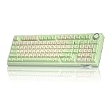 SOLAKAKA KI99 Pro Wireless Mechanical Keyboard Quiet Switch,Hot Swappable Pre-Lubed Switches Silent Keyboard with RGB Backlit,Gasket Structure Computer Gaming Keyboards(GreenWhite, Silent Switch)