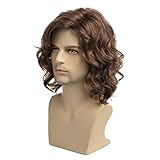RicHyun Men's Wigs Short Curly Brown Wig Short Curly Wavy Cosplay Halloween Costumes Wig for Male Guys