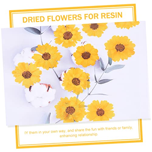 Flores secas pressadas para manualidades 72 pcs EXCEART miniatura 5