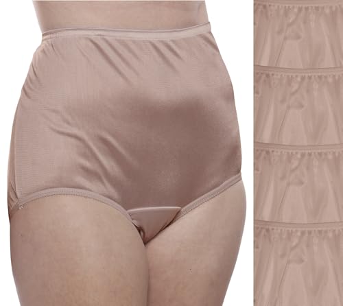 Image of Teri Women's 331 Plain Jane Classic Nylon Silky-Smooth Lightweight Breathable Full Coverage Brief Panty - 4 Pack