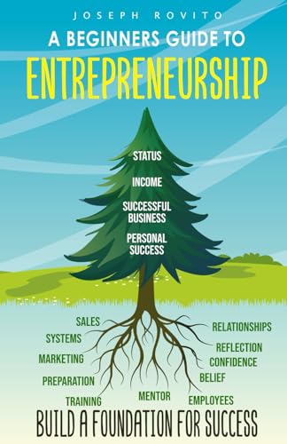 A Beginners Guide To Entrepreneurship: Build A Foundation For Success.