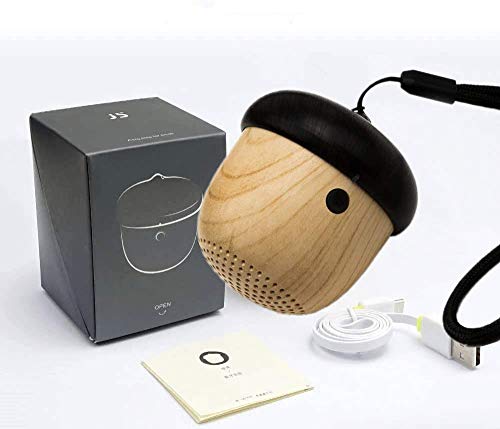 insiq mini speaker