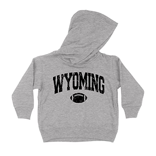 Football Wyoming Collegiate Kids Hoodie Sweatshirt Toddler 2T Heather Grey