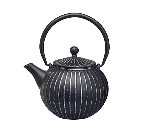 KitchenCraft Le'Xpress 2-Cup Cast Iron Japanese-Style Teapot with Infuser, 500 ml (17.5 fl oz) - Elegant Black