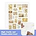 25PCS A5 Binder Inserts Sleeves 5x8in Clear Pockets Sheet Protectors Double Sided Waterproof Top Loading Plastic Planner Inserts for 6 Ring Binders, Letter Size for Document Photo Office Supplies