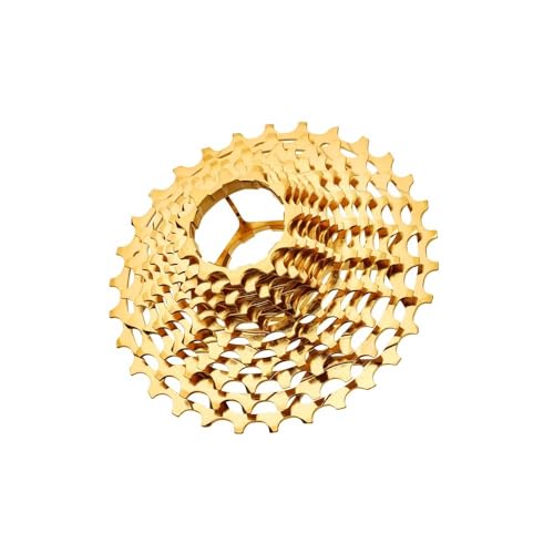 TNI NJZbg V}mp@S[h 12S 11-30T