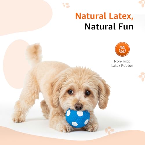 Image of Amazon Basics Durable Soccer Ball Squeaky Dog Toy | Non-Toxic Natural Latex Rubber | Dental Texture | Water Play Friendly | for Small to Large Dogs | 5-30 kg