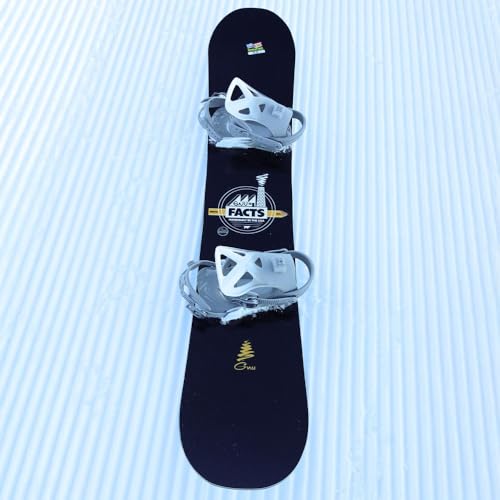 GNU Facts Men's All-Mountain Snowboard