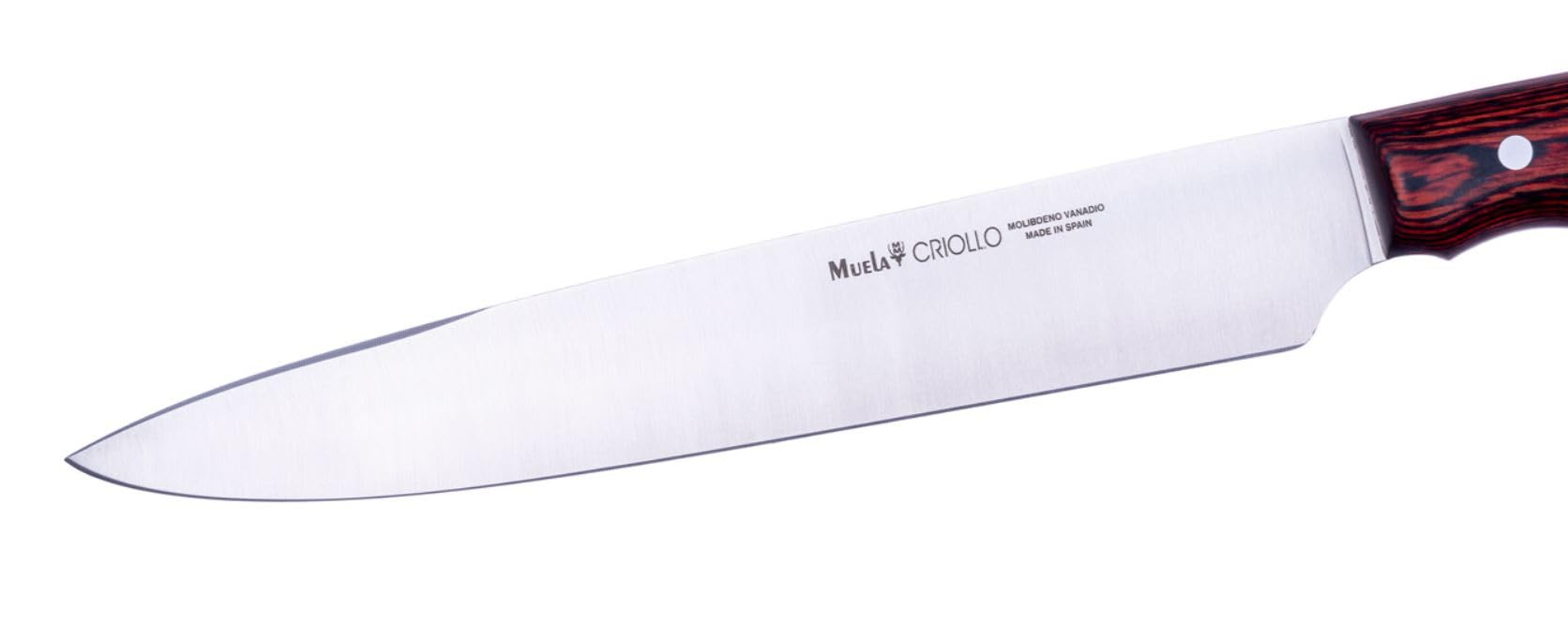 LO TRINCO YO Muela CRIOLLO- 20 R hoja de acero MoVa de 20 cm y empuñadura de madera de Coral para Caza, Pesca, Supervivencia y Bushcraft