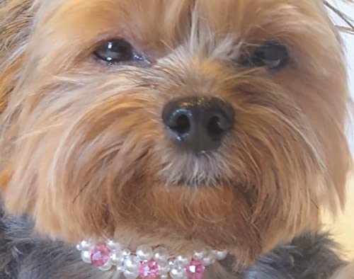 Colar para cachorros e gatos Flores de Pérolas e Cristais Rosa, JOY Mosaicos e Bijoux (P)