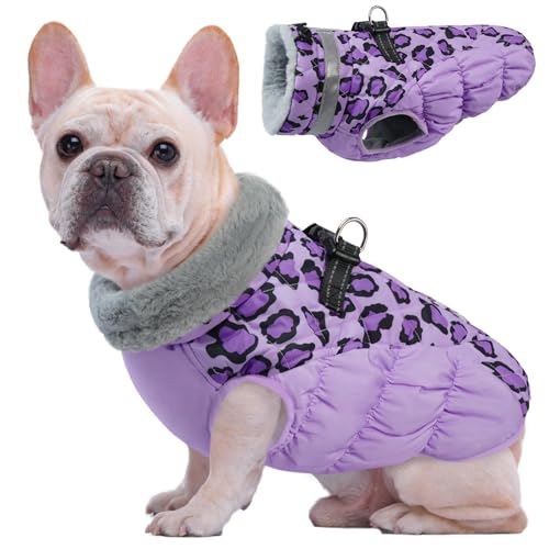 Kuoser Hundemantel Winter für kleine Hunde Wasserdicht & Winddicht, Warme Hundejacke mit Fleecefutter Reflektoren Reißverschluss, Pelzkragen & D-Ring – Outdoor Hundebekleidung, S