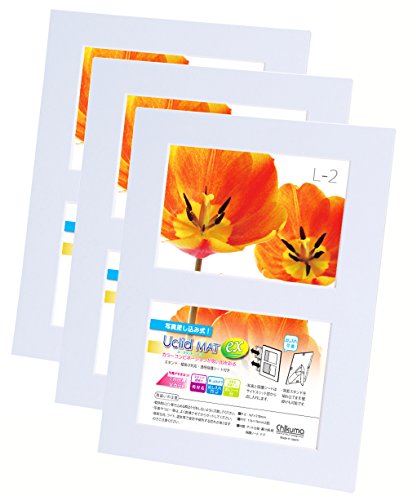 Chikuma フォトフレーム UclidマットEX L判2面 シェアブルー 3冊セット 30051-9