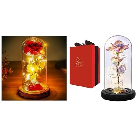Beauty and The Beast Rose Decor in a Glass and Galaxy Rose Flower Gifts for Woman with Timer Cover