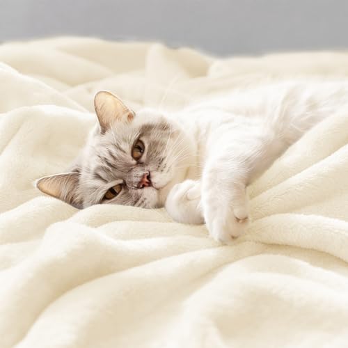 CozyLux Kuscheldecke Flauschig Decke Klein - Flanell Sofa Decke 130 x 150, Weiche Fleecedecke für Couch, Warme Wohndecke für 4 Jahreszeiten, Leicht Sofa Überwurf, Blanket 130x150 cm, Creme