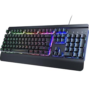 RisoPhy Gaming Tastatur, QWERTZ, Vollmetallgehäuse, Regenbogen-LED-Hintergrundb... Leise Computer Tastatur, Handballenauflage, Beleuchtet Tastatur mit Kabel USB für PC und Mac Gamer