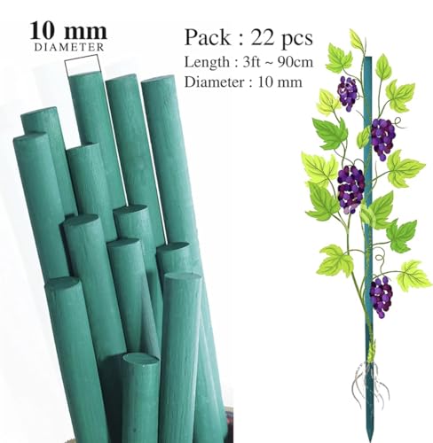 Image of BLOOMAX Hardwood Plant Support Sticks, Lengths- 3 ft, Pack of-22 pcs- with Free Twist Ties