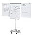 Produktbild Franken Flipchart Professional Mobil/FC24 Höhe 195 cm lichtgrau