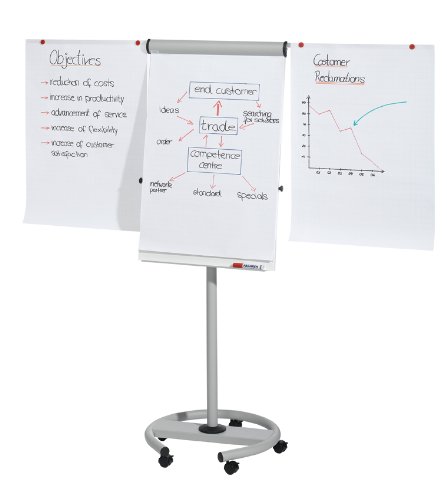 Preisvergleich Produktbild Franken Flipchart Professional Mobil / FC24 Höhe 195 cm lichtgrau