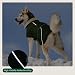 Kuoser Hundemantel Wasserdich Winterjacke für Große Hunde, Warmer Hunde Mantel mit Fleece, Reißverschluss-Leinenöffnung, 2XL Grün