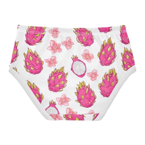 Wusikd Cute Dragon Fruit Girls' Underwear Cotton Flowers Girls Briefs Soft Toddler Underwear 2T2