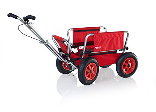 Preisvergleich Produktbild Walking Wagon Rambler Daytrack