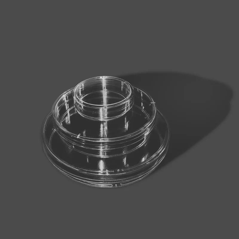 10 Plastic 90 mm Petri Dishes (with lids) - Ideal for LB Plates and Yeast Cultures in The Laboratory