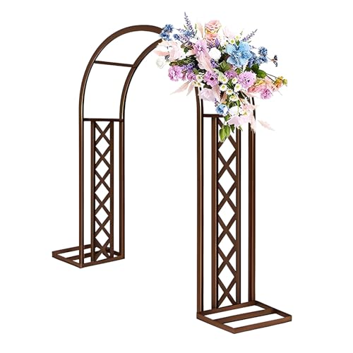 Arche de jardin en métal haut de gamme 260 cm treillis de roses et fleurs extérieur