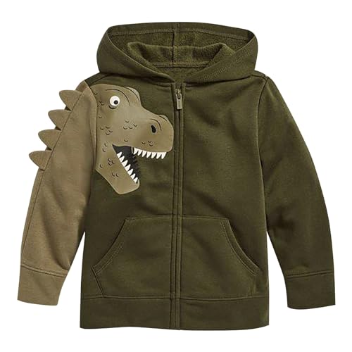 Boys Fall Jacket Toddler Boys Autumn And Winter 3d Dinosaur Print Long Sleeve Hooded Zip Jacket With (Green, 2-3 Years)