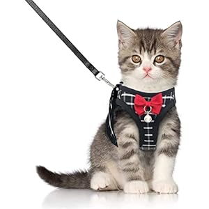 BLUWTE Cat Walking Harness Jacket,Breathable Soft Kittens Vest for Cats Dogs, Escape Proof with Bell and Bow-Knot Decoration Christmas (S, Black) …