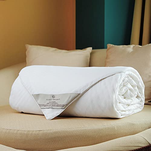 Cuddle Dreams Silk Comforter For Spring/Summer/Fall, 100% Long-Strand Silk Filling, Natural & Breathable (Kids, 60 In X 50 In) #TOP7