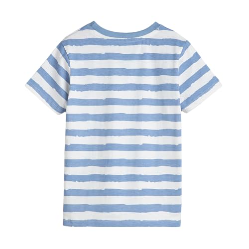 Image of Hopscotch Boys Regular Fit Tees Pack of 3 in Multi Color