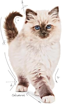 Royal Canin Kitten Kuru Kedi Maması, Yavru Kedi, 4 Kg