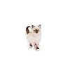 Royal Canin KITTEN36 400 gm