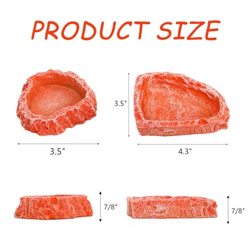50% Off! Frcctre 4-Pack Reptile Food Dish & Tongs Set - Image 3