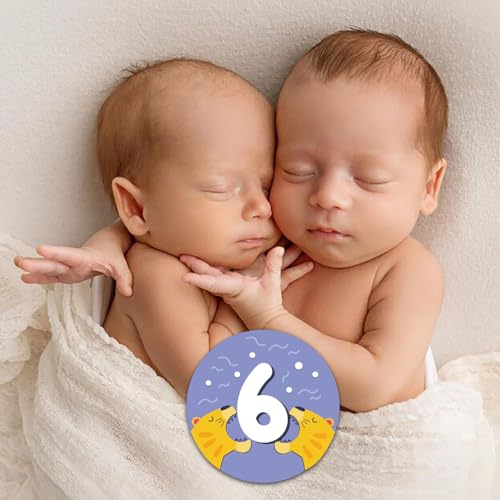 Image of 14 Designs Safari Twin Baby Monthly Milestone Cards Sign, 1-12 Months Wooden Photo Props for Twins, Gender-Neutral Twin Baby Shower Cards, Twins Memory Book Essentials (Twins Monthly Milestone)