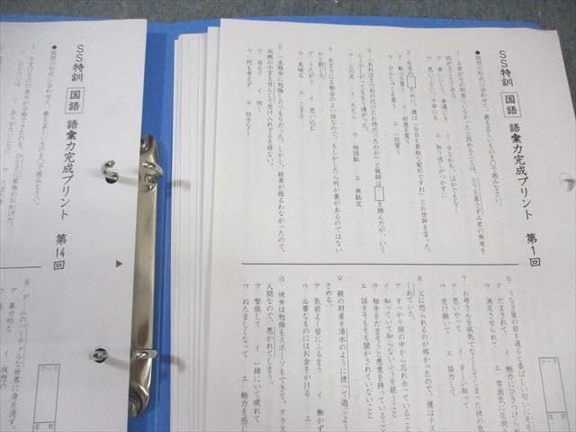SS特訓 冬期講習 正月特訓　語彙力完成プリント　サピックス　❴非売品❵ 楽天市場】SAPIX サピックス SS特訓/冬期講習/正月特訓 語彙力