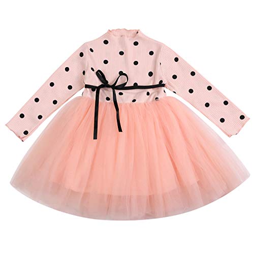 Toddler Baby Girls Clothes Long Sleeve Polka Dot Multilayer Tulle Tutu Dress Party Birthday Dress Fall Outfits (Pink, 3-4T)