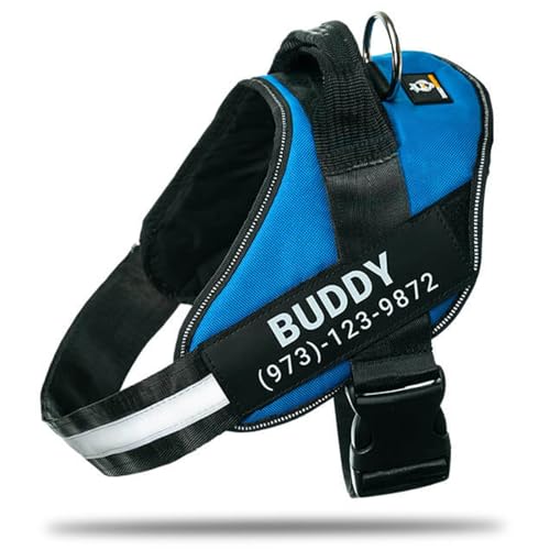 Personalized No-Pull Dog Harness with Name Patch, Padded, Adjustable and Reflective Service Dog Vest, Easy On Dog Harnesses for Medium Large Small Sized Dog Blue, XS