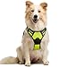 Rabbitgoo  Dog Harness No-Pull Pet Harness Adjustable Outdoor Pet Vest 3M Reflective Oxford Material Vest for Dogs Easy Control for Small Medium Large Dogs (Green, M)