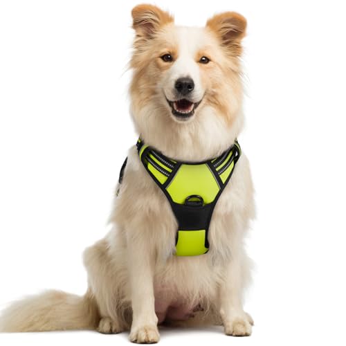 Image of rabbitgoo Dog Harness No Pull with 2 Leash Clips, Adjustable Soft Padded, Reflective Oxford No Choke Pet Vest with Easy Control Handle for Medium Sized Dogs, Green, M