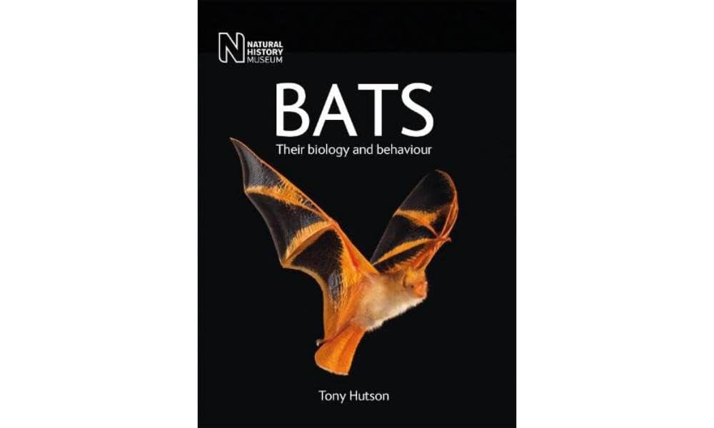 Bats by Tony Hutson PAPERBACK 9780565095284