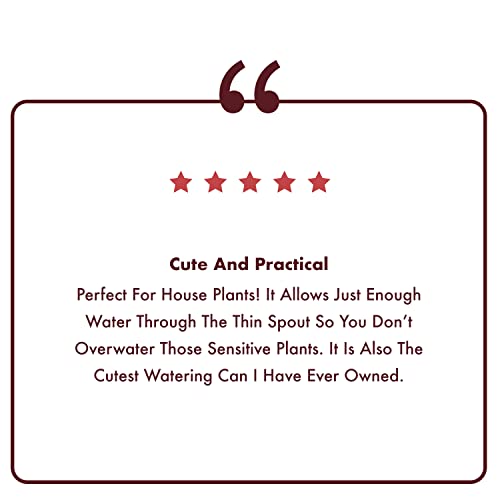 Homarden 30 Oz. Stainless Steel Watering Can - Metal Watering Can With Long Spout To Prevent Spillage, Perfect Plant Watering Can For Outdoor And Indoor Plants - Ideal Christmas Gift & Decoration #TOP7