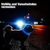Nepfaivy Leuchthalsband Hund USB Aufladbar - Wasserdichtes Hundehalsband Leuchtend mit 3 Beleuchtungsmodi, Längenverstellbareres LED Halsband für Kleine, Mittlere und Große Hunde (Blau)