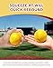 Tarutaru 20 Pack Foam Balls for Baseballs & Softballs - Soft Practice Baseballs for Hitting, Pitching, Batting Training, Indoor & Outdoor Sport Diameter 2.83in