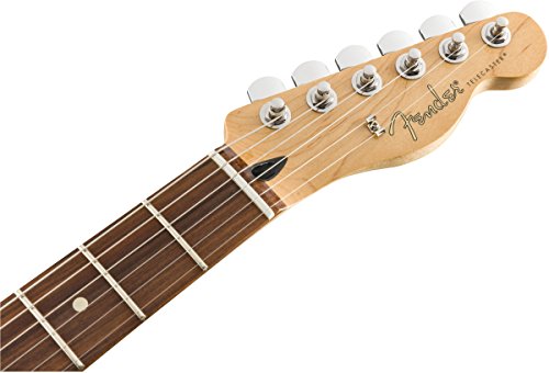 Fender 0145233500 – Guitare - Les Beatles, Paul McCartney, John Lennon, RIngo Starr, George Harrison Fender 0145233500 - Guitare – Image 6