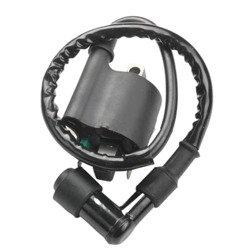 Bobina de encendido para motocicletas y scooters PCX y WW 2