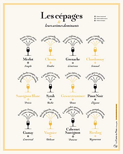 Cépages du Vin poster éducatif et design pour la salle à manger
