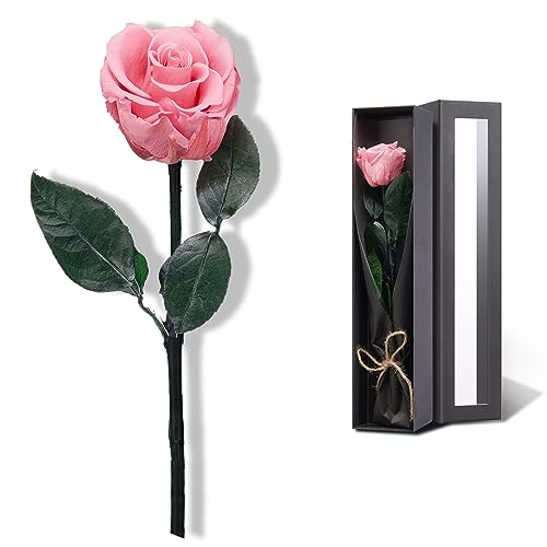 Image of Coral Pink Flowers for Delivery Prime, Preserved Pink Roses Flower Gifts for Women, Real Roses Single Rose Gifts for Her, Mom Birthday Gifts from Daughter, Valentines Flowers