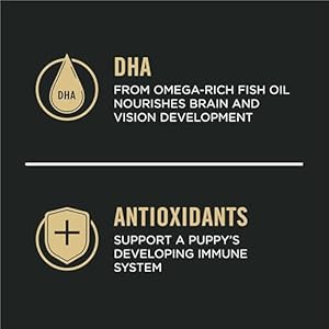 Purinaproplanhighproteinpuppyfoodshreddedblendchickenriceformula34lbbag Urban Country Home Decor Purina pro plan high protein puppy food shredded blend chicken rice formula 34 lb bag urban country home decor